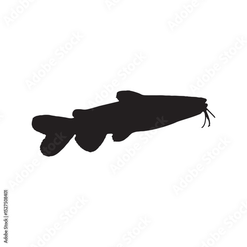 catfish silhouette