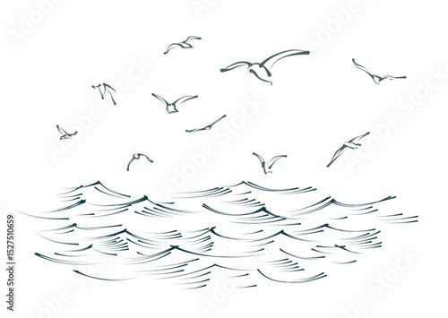 Flock of birds with blue sea.