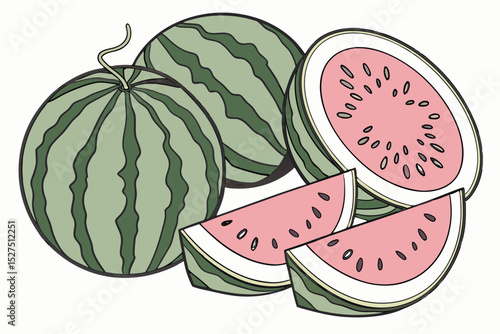 Sweet summer watermelon illustration