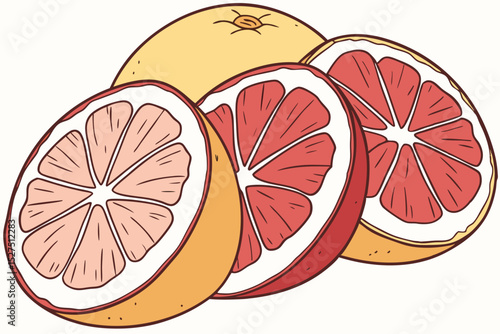 Vibrant grapefruit illustration whole and sliced