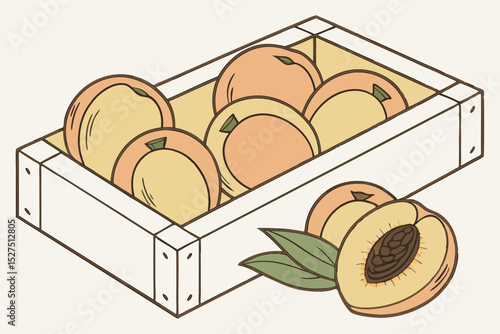 Fresh peaches in a wooden crate illustration