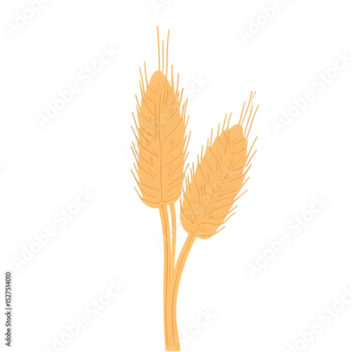 ears of wheat