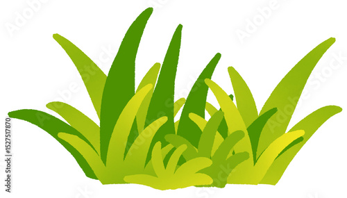 grass 
