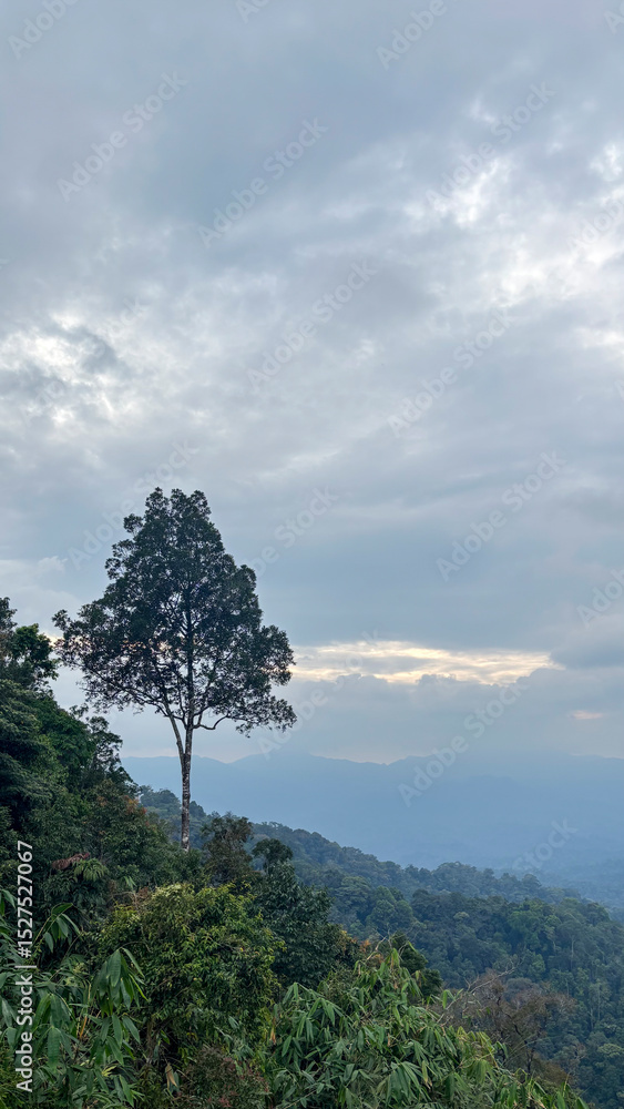 Obraz premium Mountain landscape with cloudy sky in the morning at Kaeng Krachan National Park, Phetchaburi, Thailand