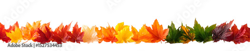 Colorful autumn leaves border against black background transitioning through fall shades