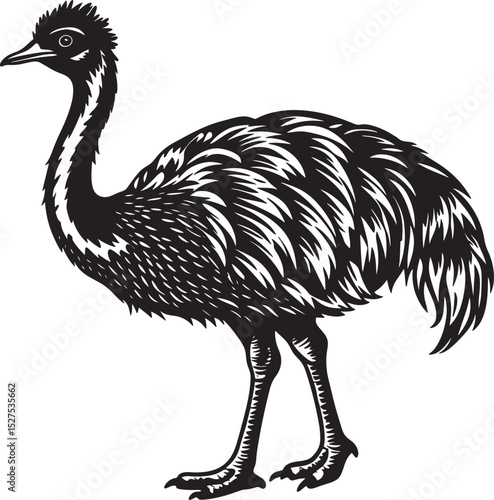 ostrich cartoon isolated on white background
