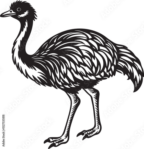 ostrich cartoon isolated on white