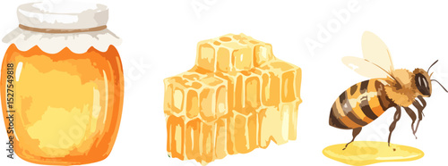 Vector illustration of cute flying bee illustration with yellow flower and honeycomb.