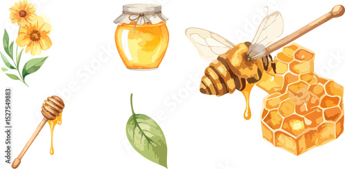 Vector illustration of cute flying bee illustration with yellow flower and honeycomb.