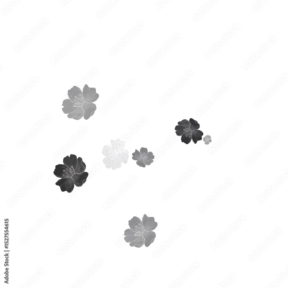 flower without color flower without color