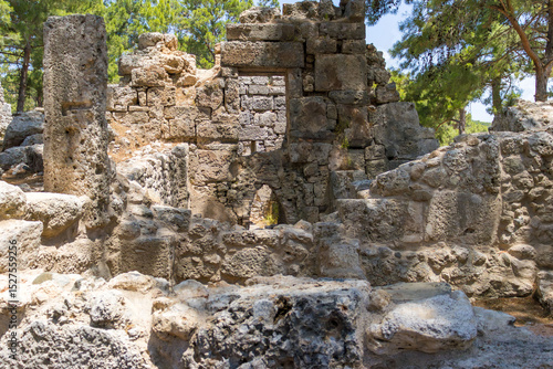 Wallpaper Mural Phaselis Ancient City forest. Northern Necropolis - cemetery with elaborate tomb monuments. Turkey. Asia Minor Torontodigital.ca