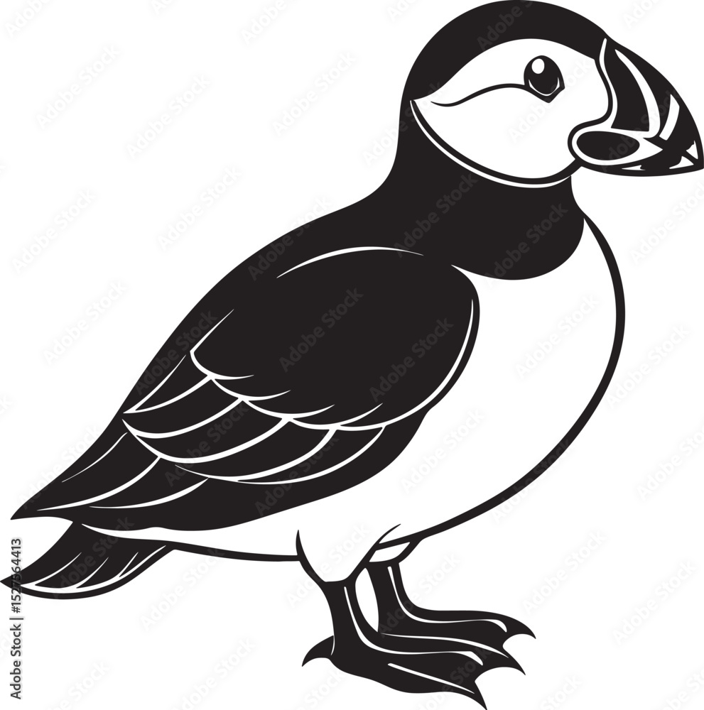 Fototapeta premium bird on a white background