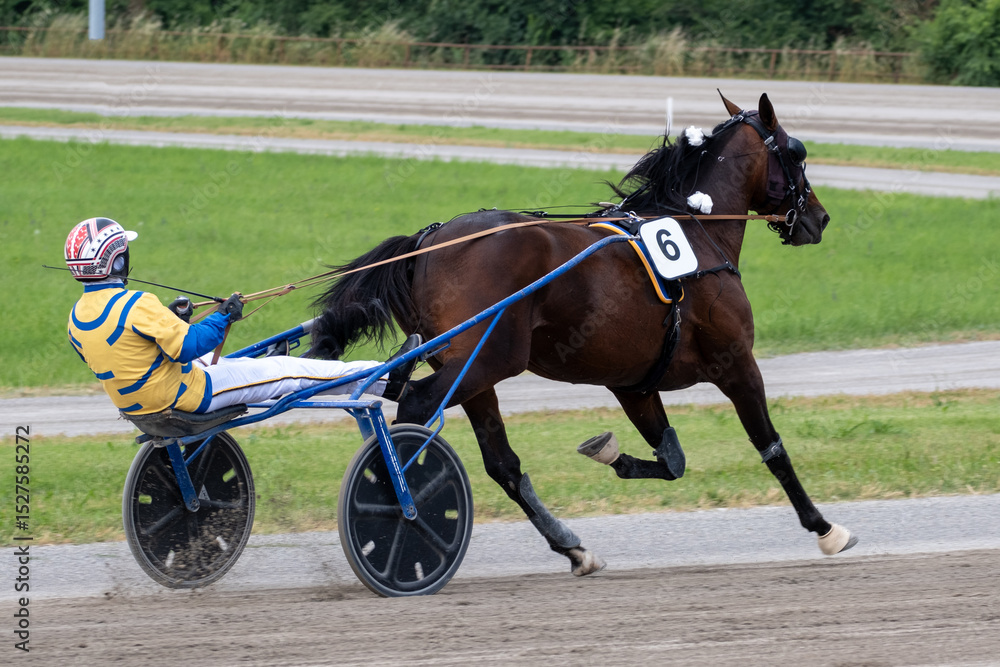 Modena, Italy – 05 18 2025: Racing horses trots and rider on a track of stadium. Competitions for trotting horse racing. Horses compete in harness racing. Horse runing at the track with rider.
Modena, Italy – 05 18 2025: Racing horses trots and rider on a track of stadium. Competitions for trotting horse racing. Horses compete in harness racing. Horse runing at the track with rider.