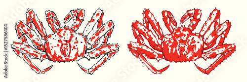 Red King Crab Illustration Set