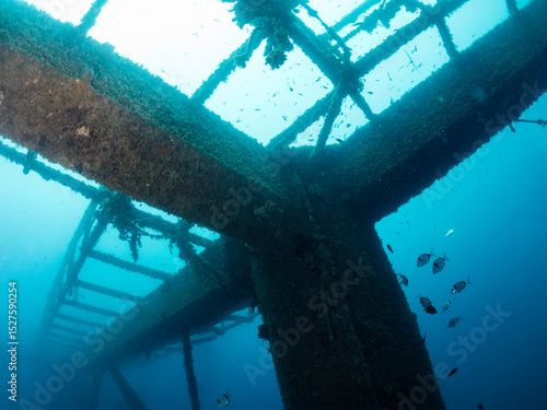 Obraz na plátně underwater image of a sunken structure in the sea colonized by marine life, conc