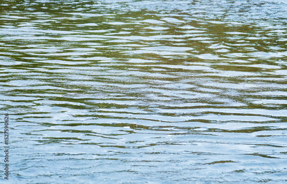 Obraz premium 梅雨の季節 川の水面に雨が降る40