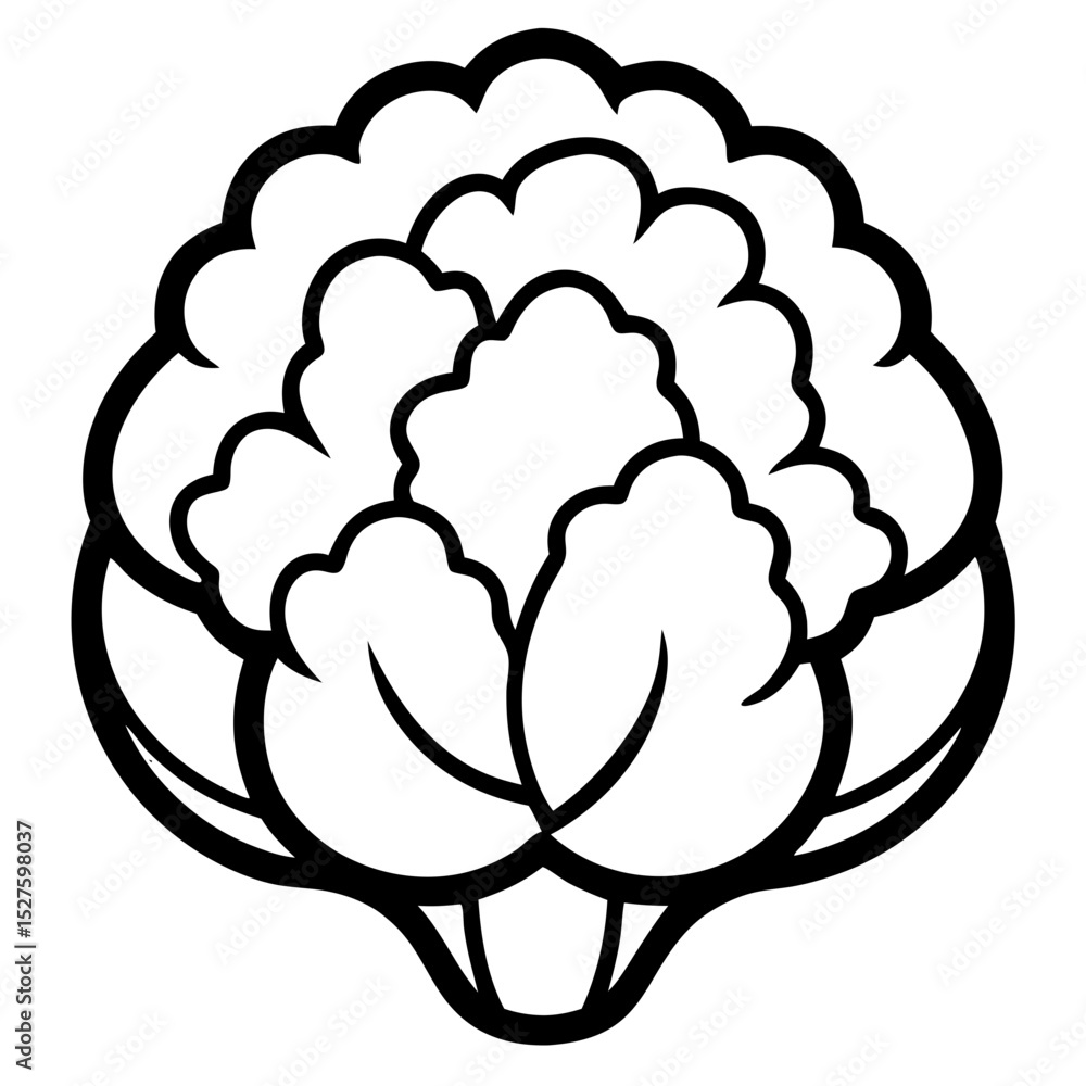 Fototapeta premium vector illustration of a cauliflower 