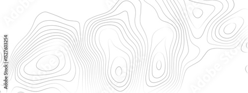 "Modern Transparent PNG Topographic Line Map with Gracefully Curved, Fluid Wavy Patterns Over a White Background, Ideal for Minimalist Design, Cartography, and Professional Visual Projects"
