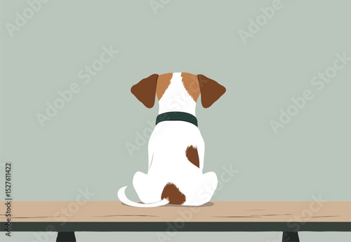 A dog sitting on a table, viewed from behind