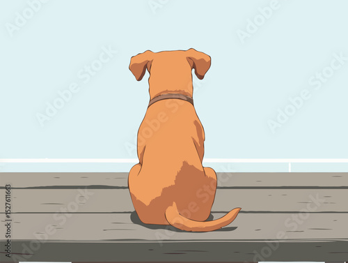 A dog sitting on a table, viewed from behind