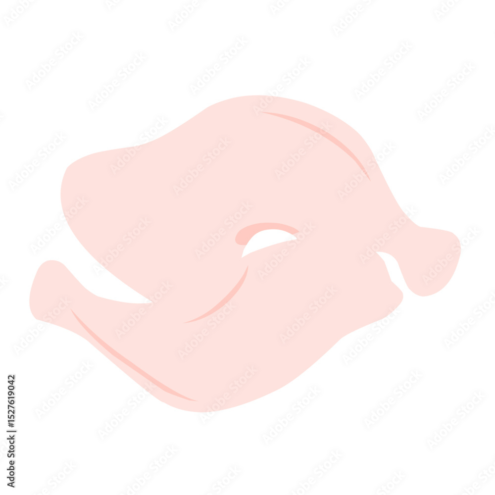chicken meat illustration chicken meat illustration
