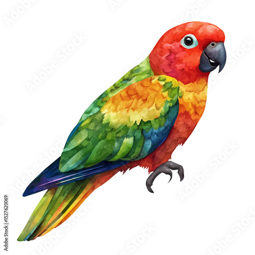 Eclectus Parrot, watercolor painting vector, high quality, isolated on a white background.