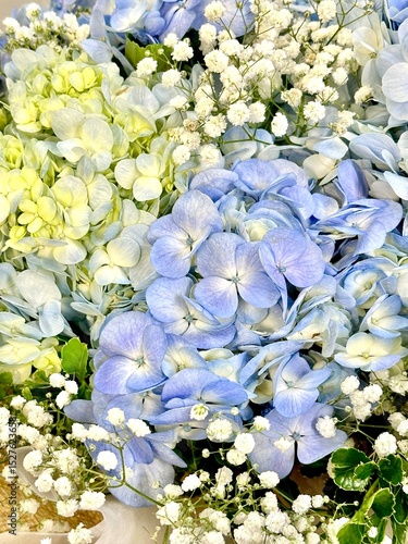 Hydrangea Bouquet