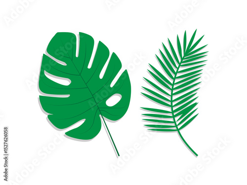 Tropical palm leaves isolated. Monstera plant leaves vector set. Summer jungle branches collection in flat design style