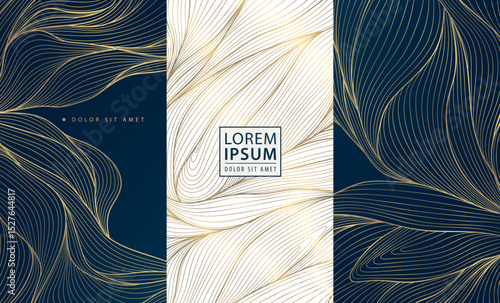 Vector gold label box, leaves floral wine design, vip perfume royal package. Leaf template, beauty, jewelry, gift cards, banners