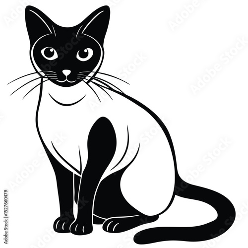 siamese cat vector