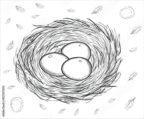 A nest with eggs , coloring...