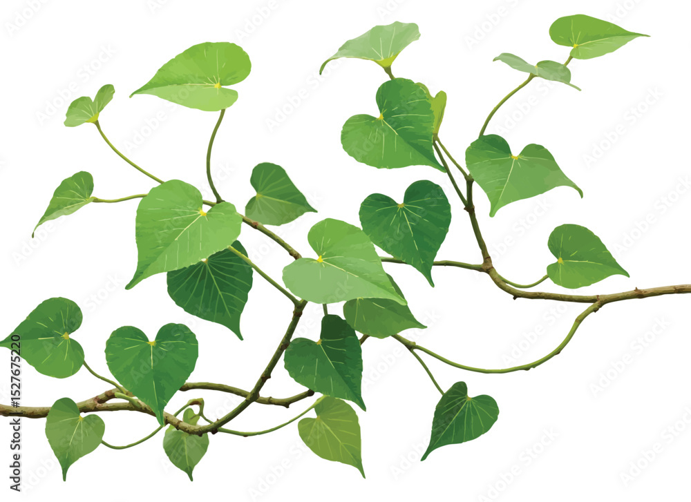 Fototapeta premium A vibrant collection of green leaves, ideal for spring and summer nature designs, isolated on white