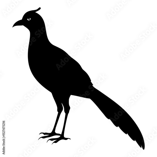 A great argus bird standing full black silhouette vector illustration design