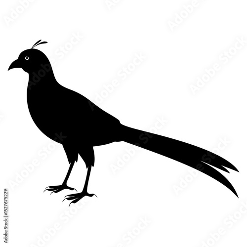 A great argus bird standing full black silhouette vector illustration design