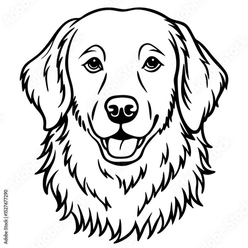 Golden retriever dog head line art illustration
