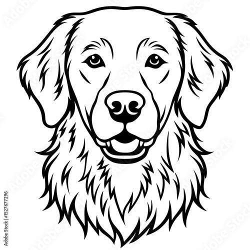 Golden retriever dog head line art illustration