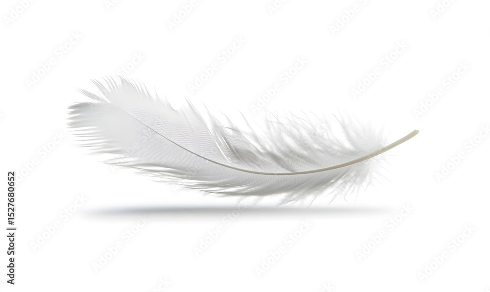 Obraz premium A delicate white feather gently floating against a light background.