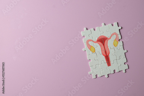 Concept for PCOS,gynecology, women's health,reproductive health, infertility treatment,medical examination,Healthcare medical,wellness.,Jigsaw puzzle with an the female reproductive system icon.
