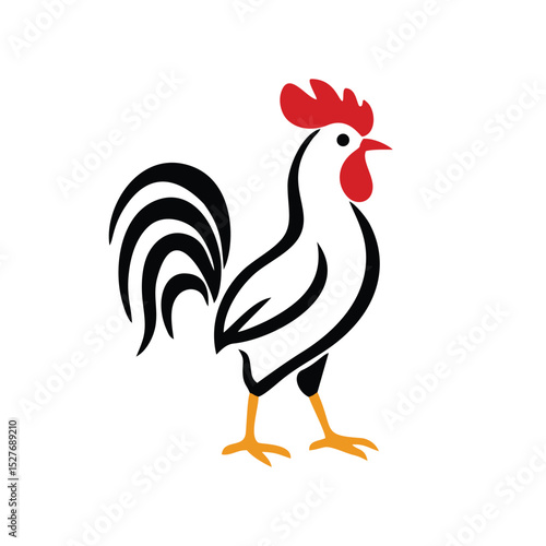colorful rooster hen chicken fowl animal