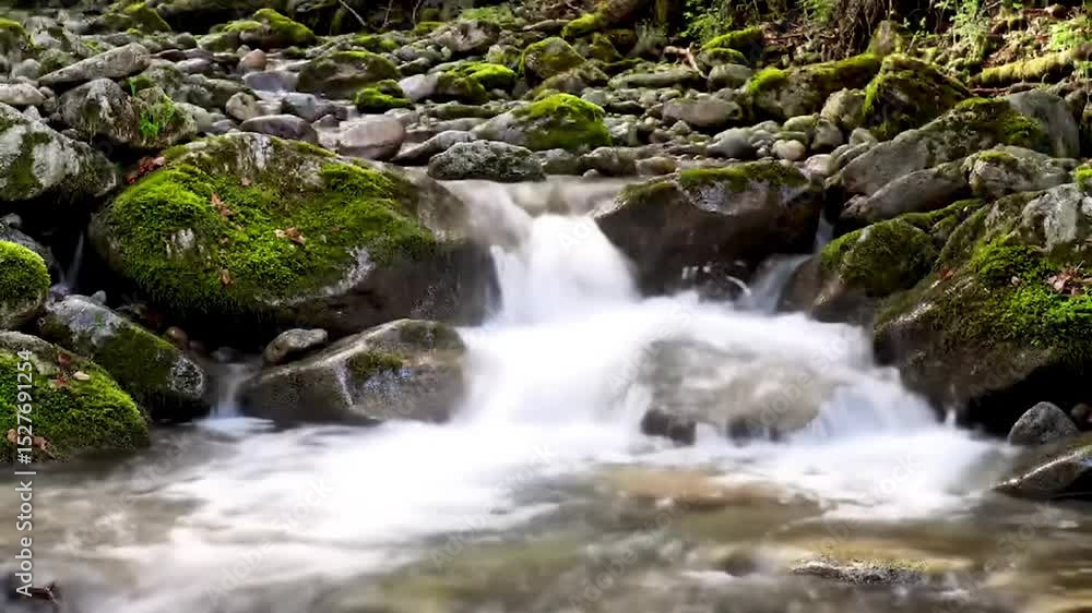 Serene Forest Stream Flowing Over Mossy Rocks. Relaxing Nature Video of a Silky Waterfall Cascade. Tranquil Woodland Creek with Green Moss and Smooth Water. Serene Forest Stream Flowing Over Mossy Rocks. Relaxing Nature Video of a Silky Waterfall Cascade. Tranquil Woodland Creek with Green Moss and Smooth Water.