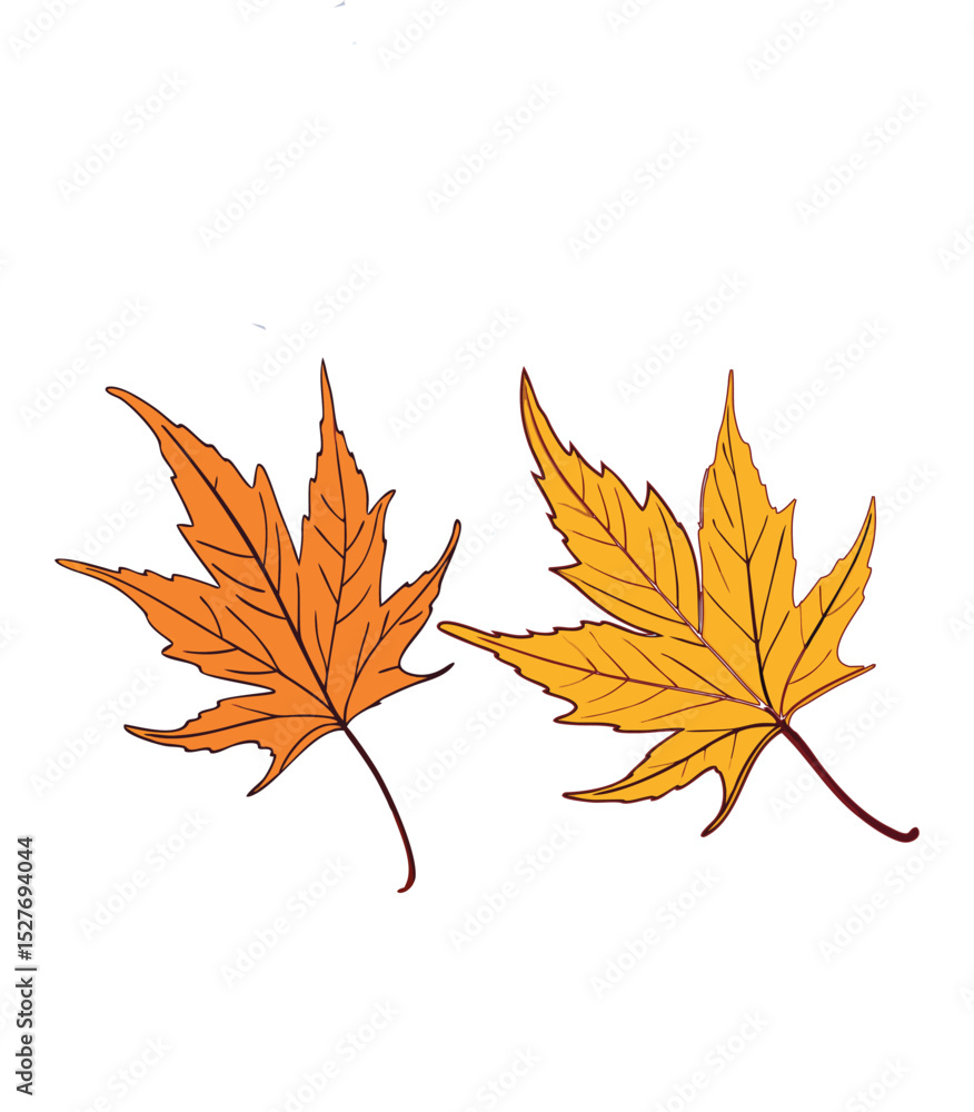 Fototapeta premium Maple leaf veror art illustrations