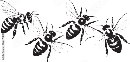 Vintage Black and White Ink Drawing of Flying Honey Bees in Motion – Hand-Drawn Engraving Style Insect Illustration with Detailed Wings and Striped Bodies, vector art illustration.