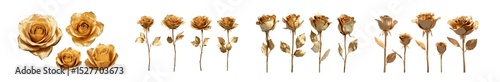 set of Gold-toned rose blossoms with stems and leaves. isolated on transparent background