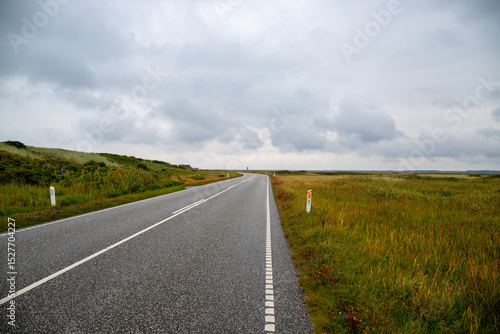 Road between dunes covered with grasses on the Danish coast