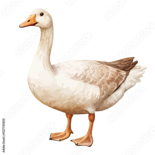 Goose, watercolor illustration vector, high quality, isolated on a white background.