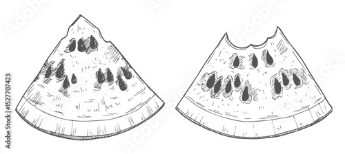 Watermelon slice isolated on white background. Hand-drawn ink illustration in retro engraving style. Detailed vector drawing.