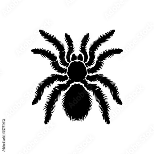 Striking black tarantula logo with intricate leg detailing and intimidating arachnid silhouette on pure white background