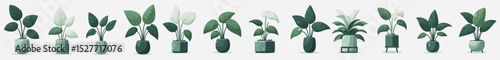 Vector set of ornamental plants Epipremnum aureum