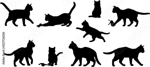 Set of vector cat silhouette. Kitten, kitty or pet animal in different poses and playing with toy or alone. animal pet, wildcat and kitten, hunter and predator, black silhouette illustration.