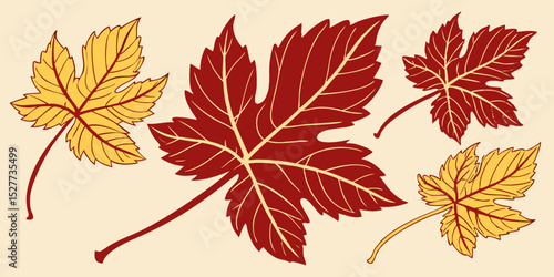  Set of different color's autumn vine leaves isolated on white background vector illustration
